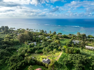 Stunning Vacation Rental by the Coast with Views of Coconut Trees in Kilauea, Hawaii - Kilauea, Hawaii - glamping.directory