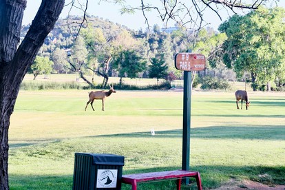Charming Golf Course Escape with Scenic Views & Game Room Near Payson, AZ - Payson, Arizona - glamping.directory