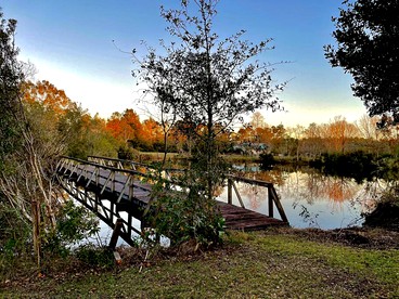 Elevate Your Reunion: Saucier, MS Rental Offering Unrivaled Luxury and All Desired Amenities - Saucier, Mississippi - glamping.directory