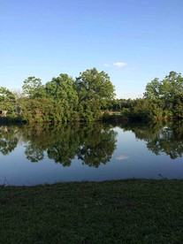 Elevate Your Reunion: Saucier, MS Rental Offering Unrivaled Luxury and All Desired Amenities - Saucier, Mississippi - glamping.directory