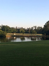 Elevate Your Reunion: Saucier, MS Rental Offering Unrivaled Luxury and All Desired Amenities - Saucier, Mississippi - glamping.directory
