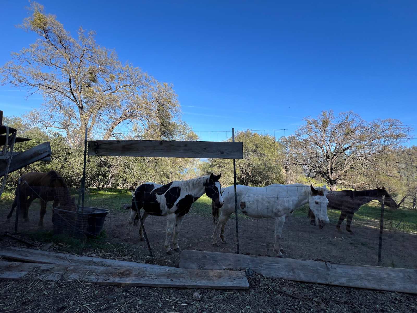 The Painted Lake - Angels Camp, California - glamping.directory