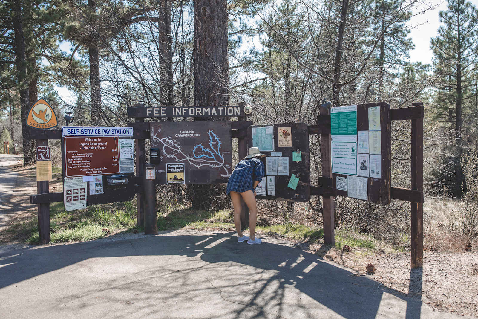 Glamping in San Diego’s Backcountry - Mount Laguna, California - glamping.directory