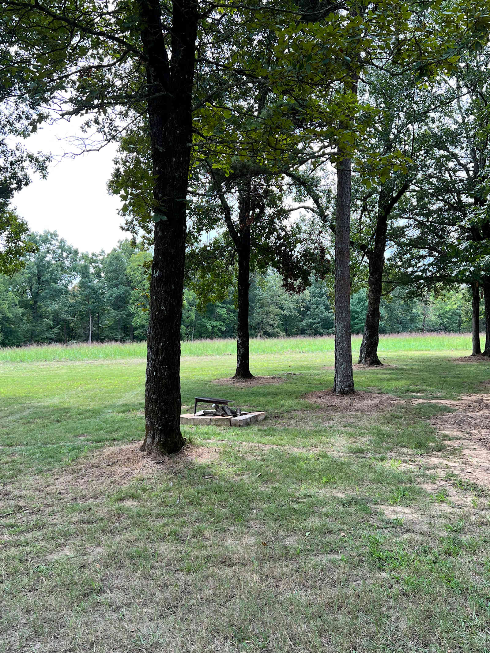 Fawn Meadow - Shirley, Arkansas - glamping.directory