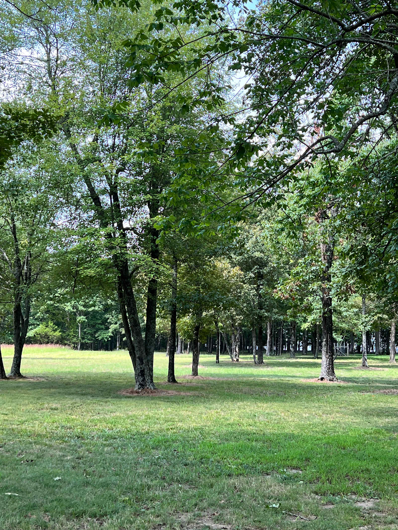 Fawn Meadow - Shirley, Arkansas - glamping.directory