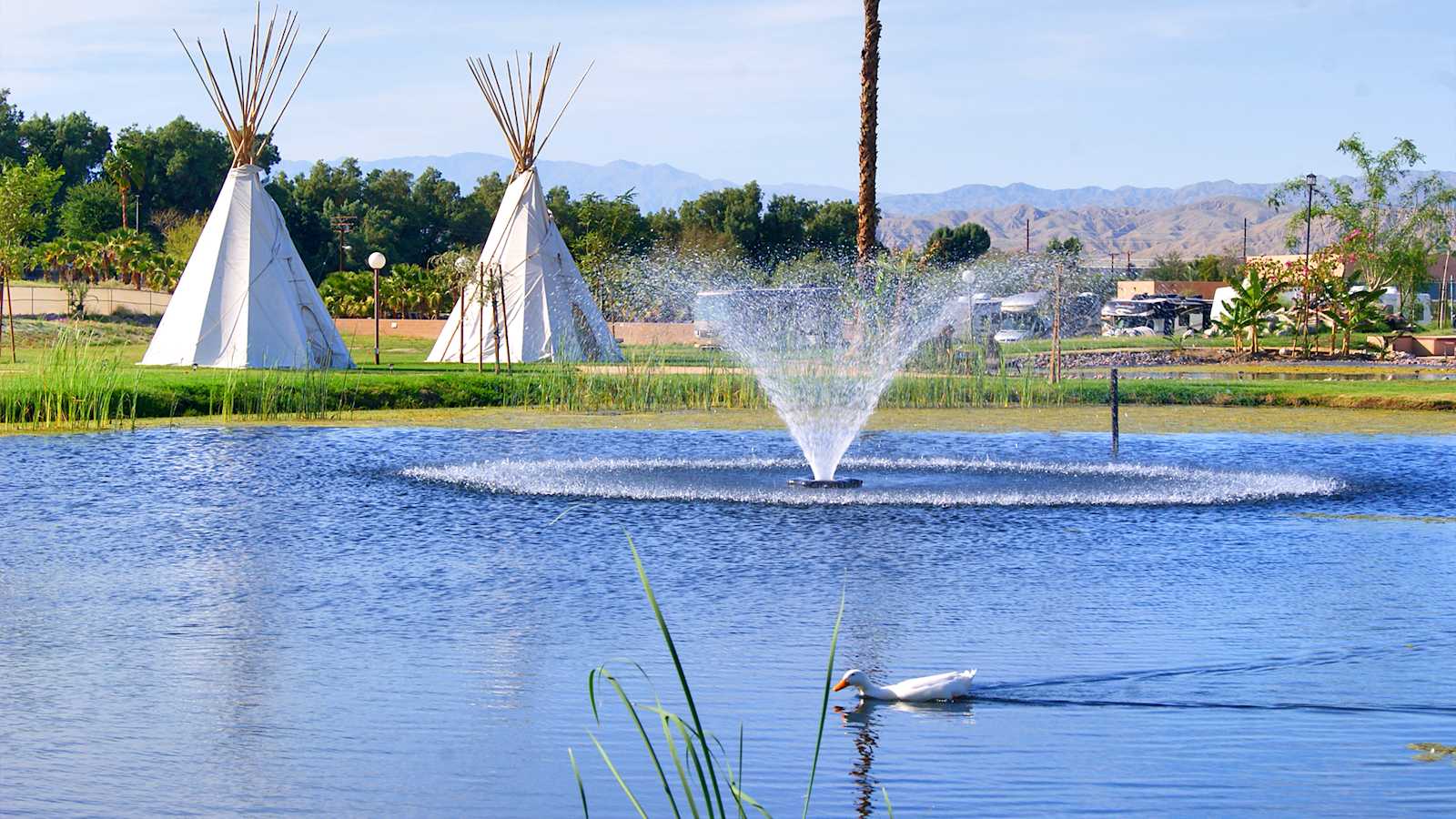 Shadow Hills RV Resort - Indio, California - glamping.directory