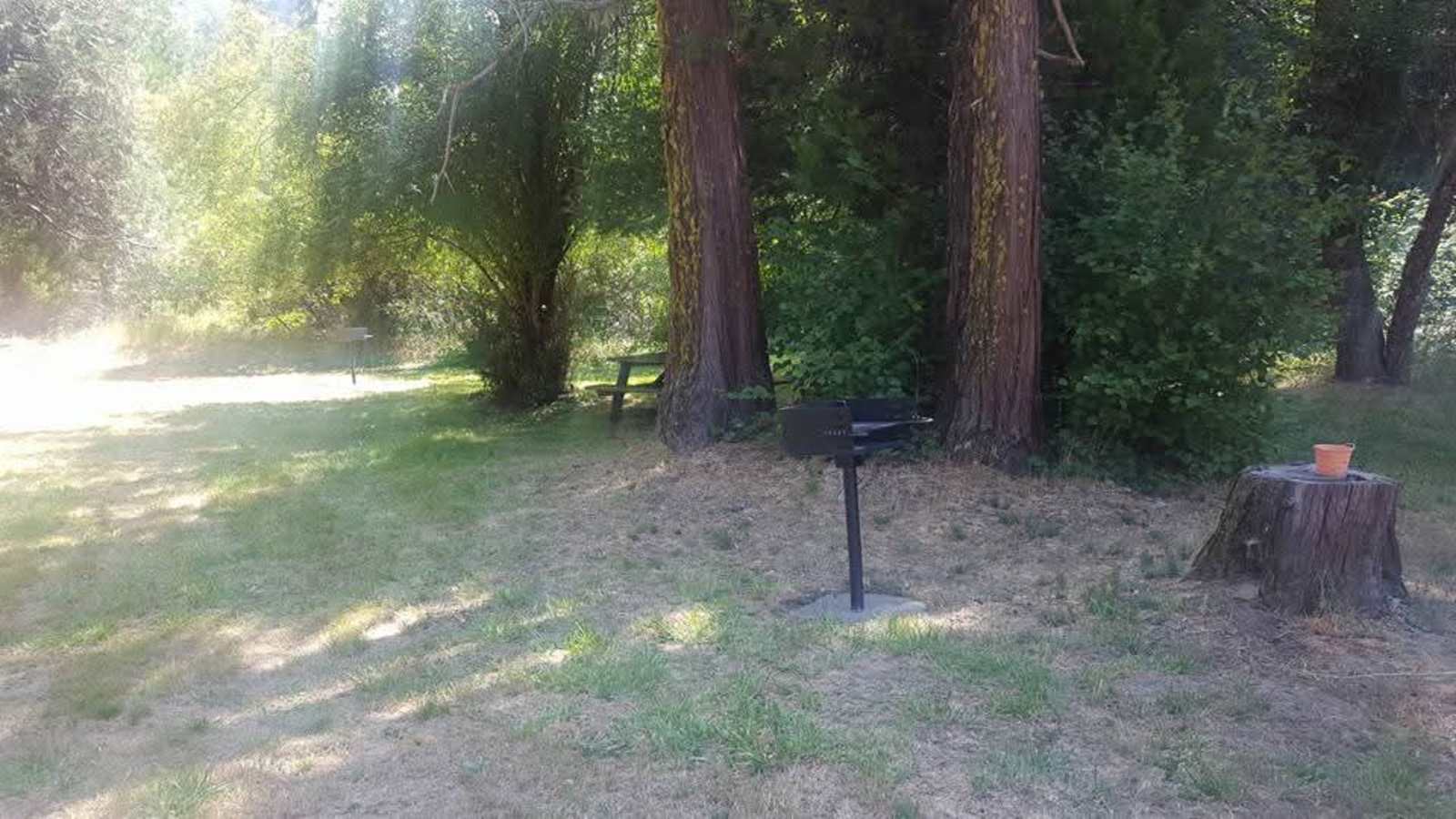 Critter Creek Campground - Hayfork, California - glamping.directory