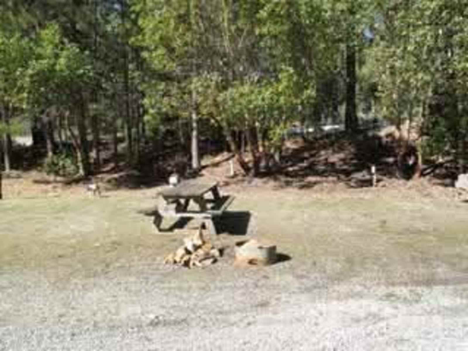 Critter Creek Campground - Hayfork, California - glamping.directory