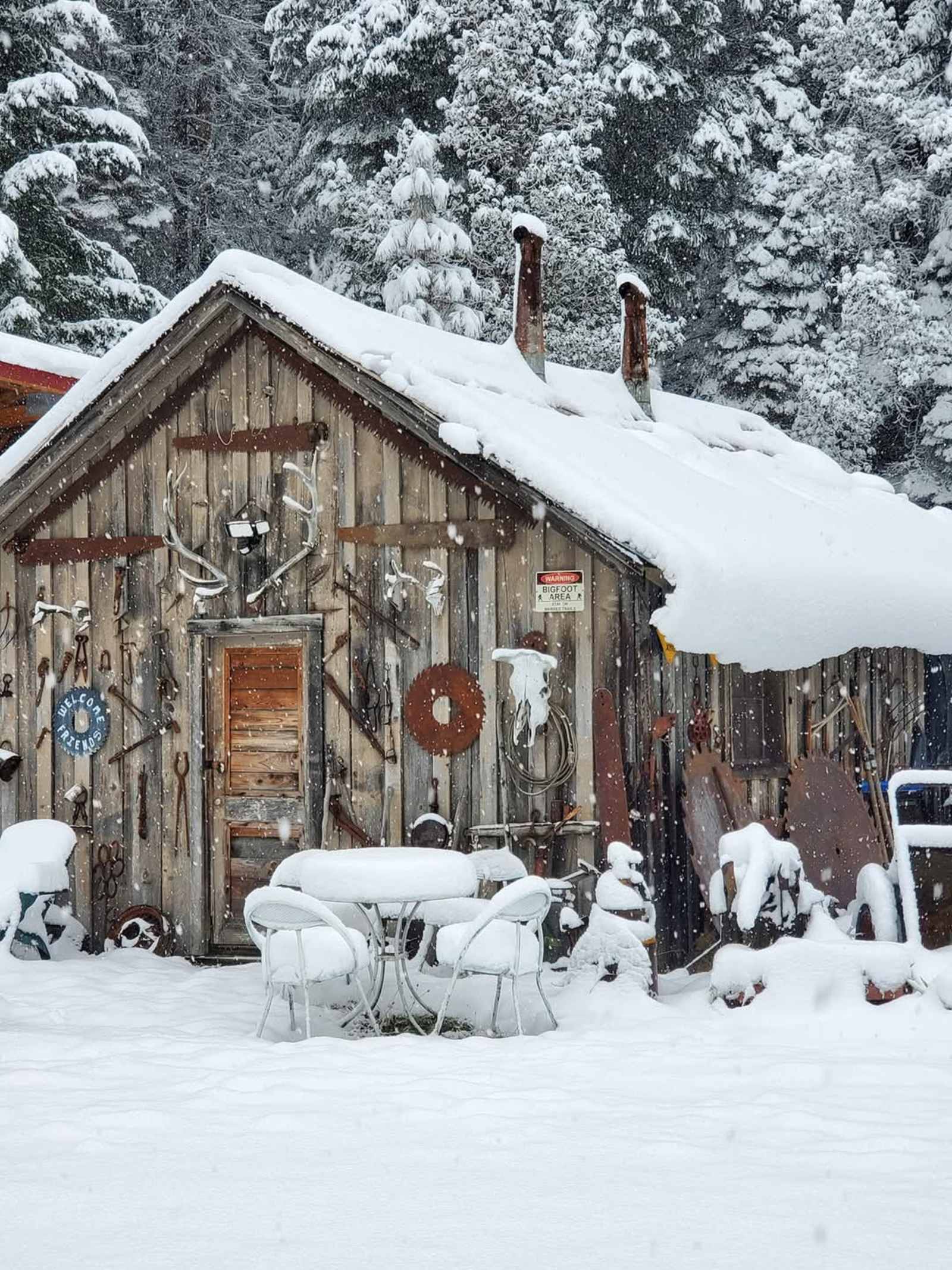 Critter Creek Campground - Hayfork, California - glamping.directory