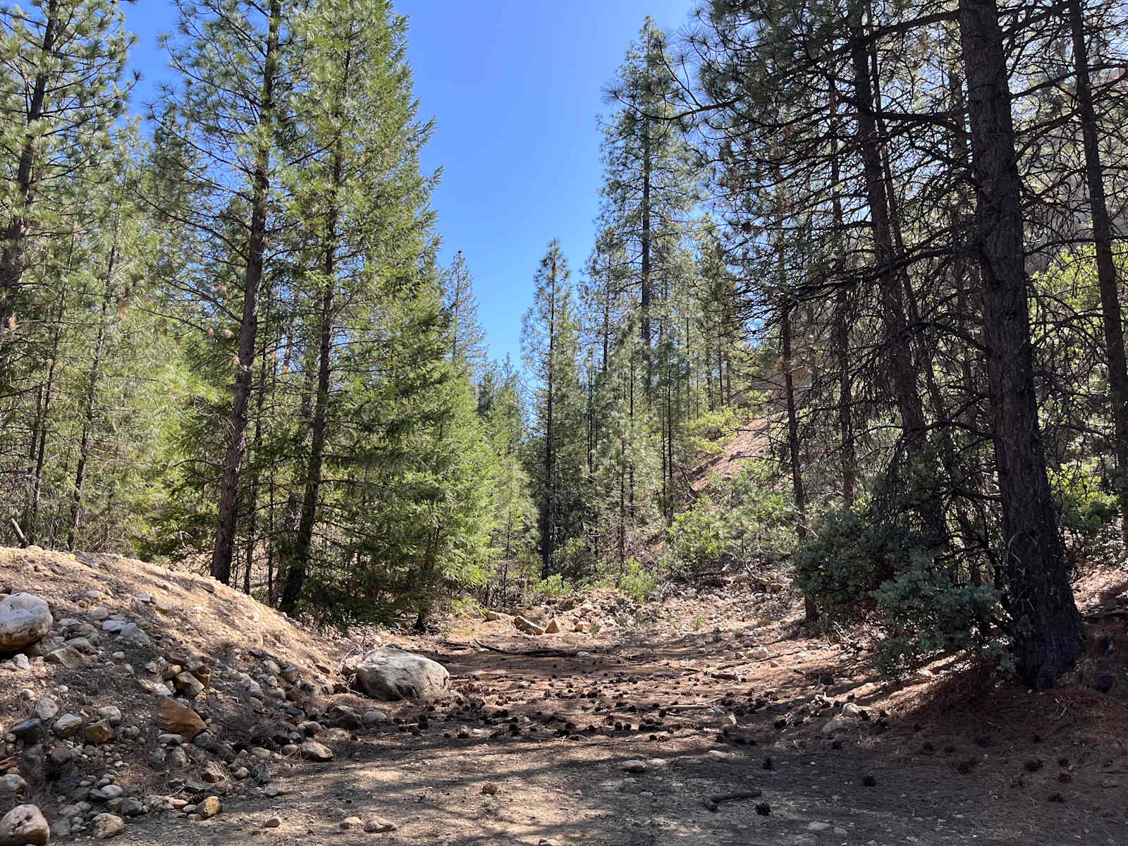 70+ Acre Historic Goldmine Mountain - Dutch Flat, California - glamping.directory