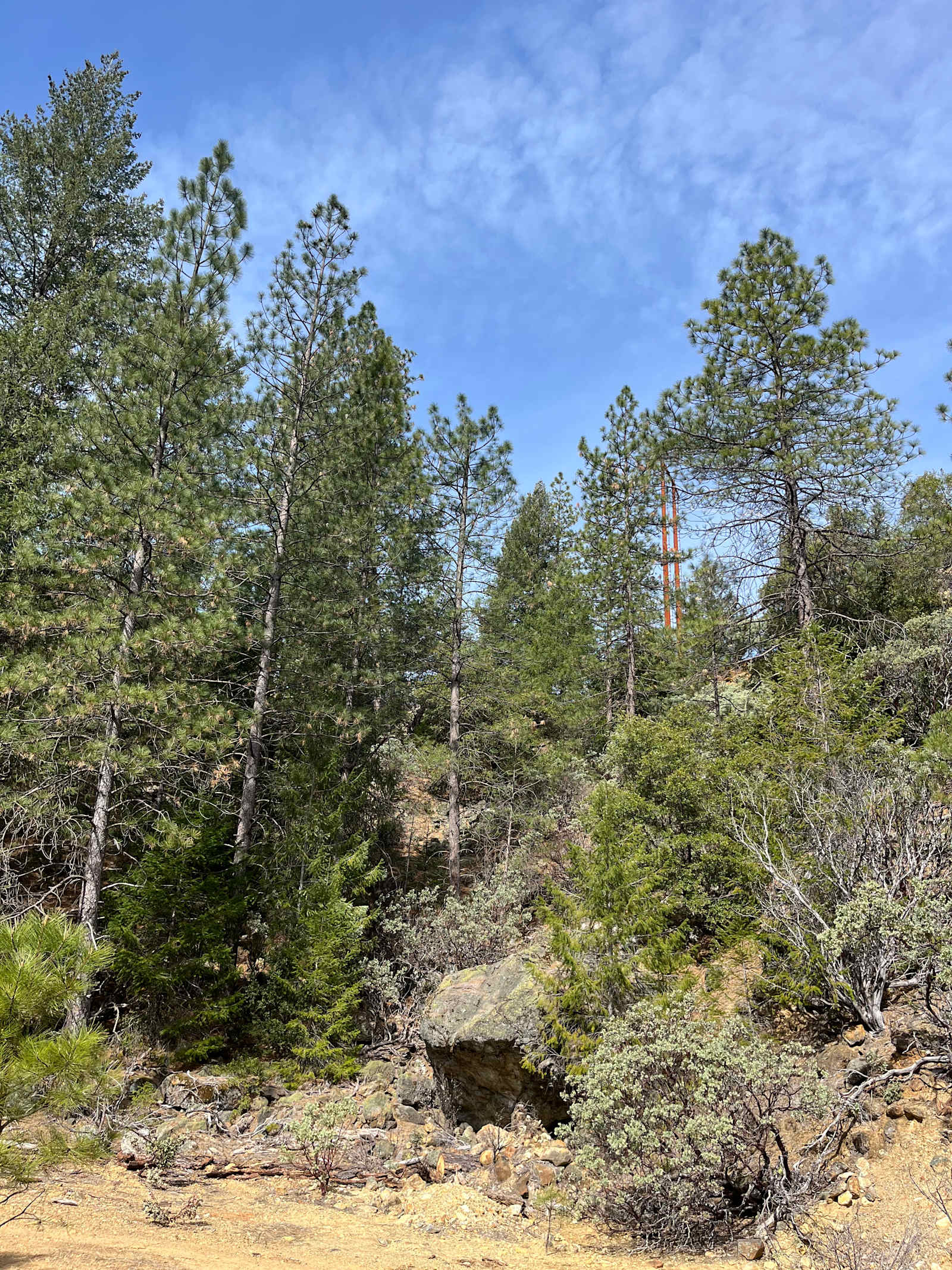 70+ Acre Historic Goldmine Mountain - Dutch Flat, California - glamping.directory