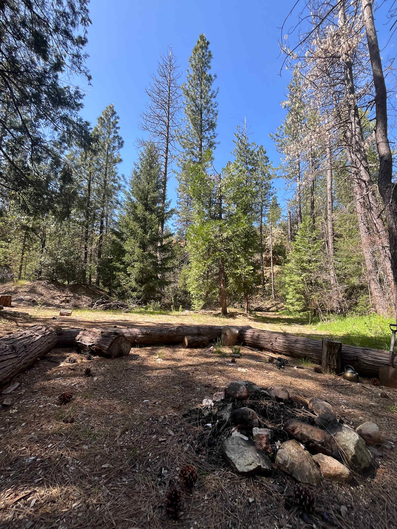 70+ Acre Historic Goldmine Mountain - Dutch Flat, California - glamping.directory