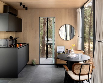 Whimsical Flower-Inspired Mirror Cabin by the Lake in the Enchanted Forests of Texas - Bastrop , Texas - glamping.directory