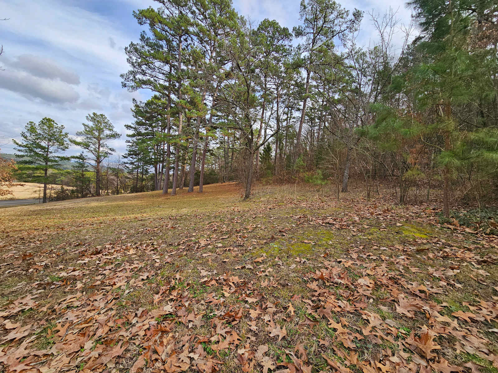 Jack Creek Mountain Retreat - Booneville, Arkansas - glamping.directory