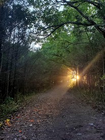 Romantic Safari Tent Hideaway Surrounded by Majestic Mountains near the Sparkling Lake in Branson Missouri - Branson, Missouri - glamping.directory