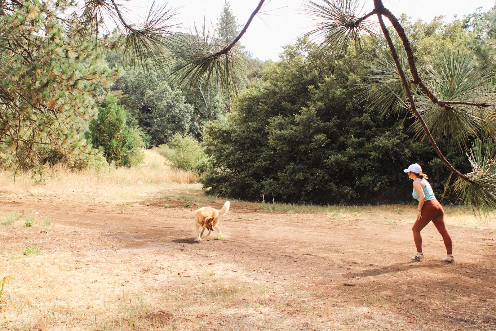 Thistledew Ranch - Miramonte, California - glamping.directory