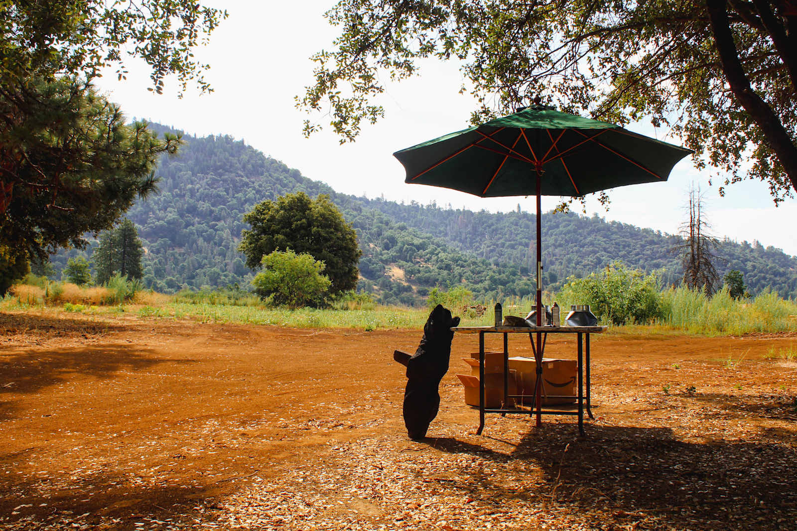 Thistledew Ranch - Miramonte, California - glamping.directory