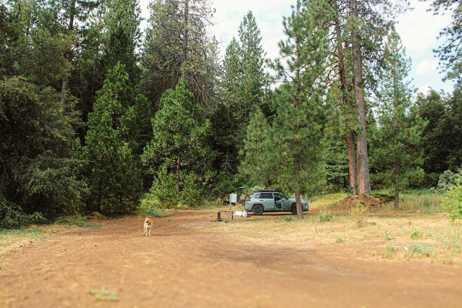 Thistledew Ranch - glamping.directory