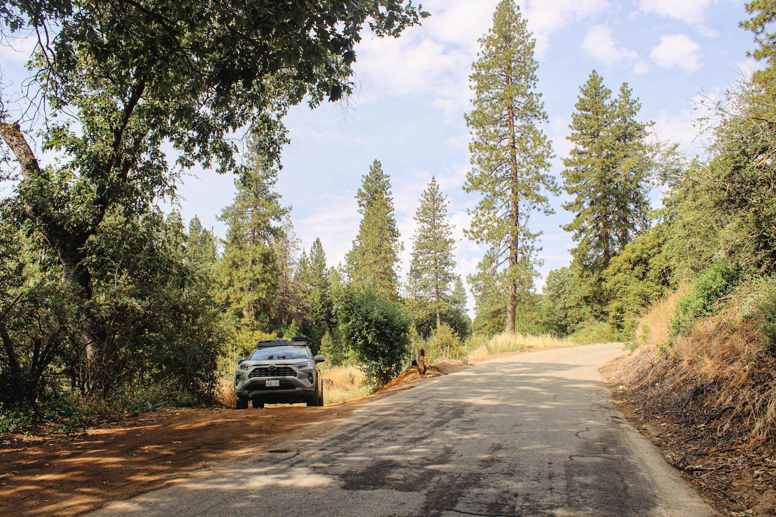 Thistledew Ranch - Miramonte, California - glamping.directory
