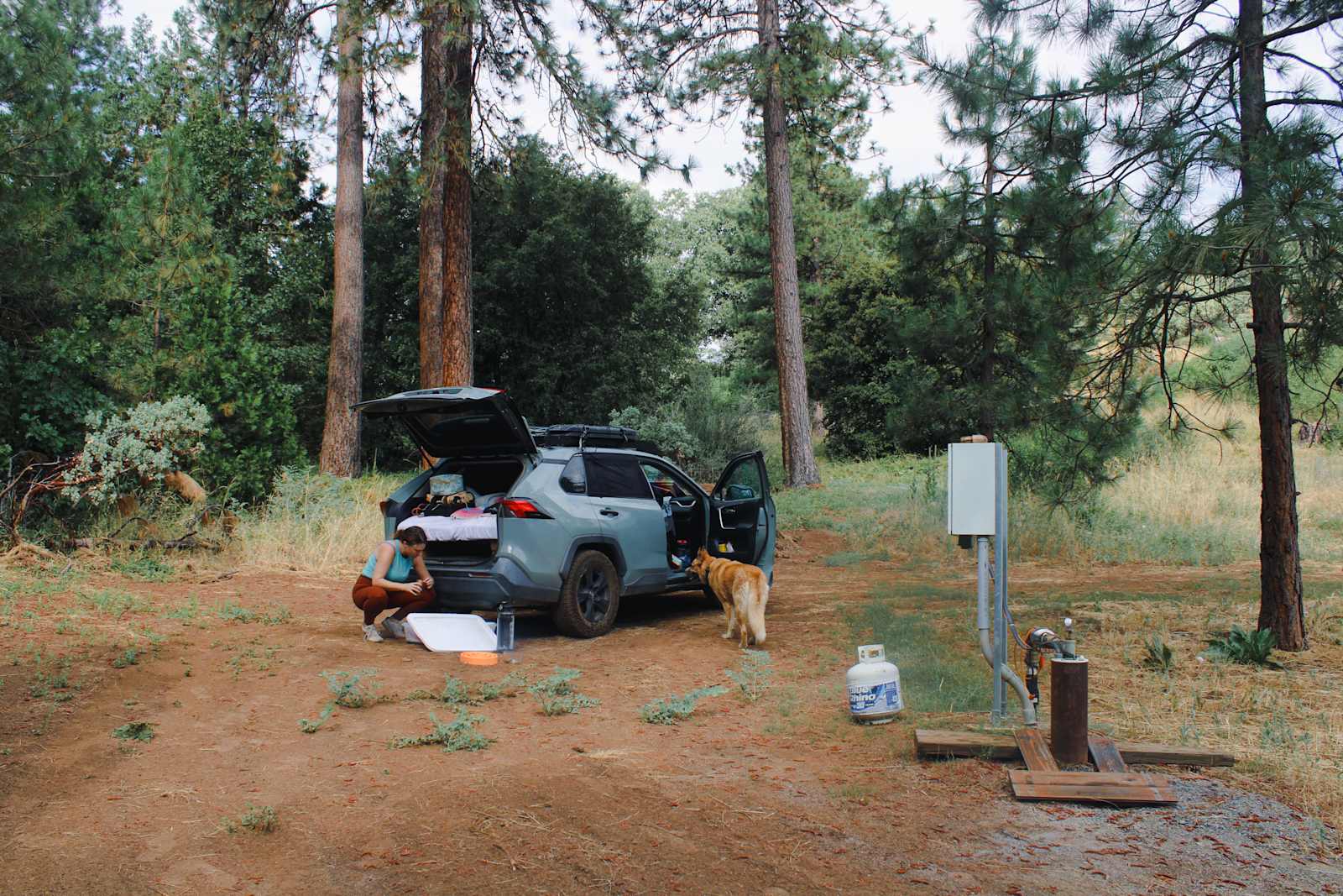 Thistledew Ranch - Miramonte, California - glamping.directory