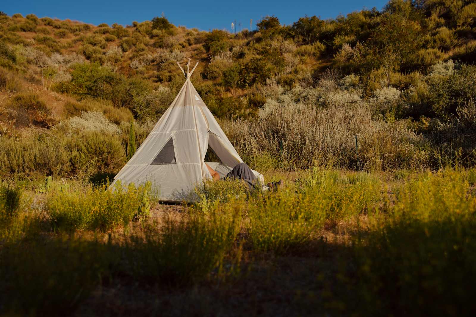 HIPTRIP Basecamp + Wildlife Habitat - glamping.directory