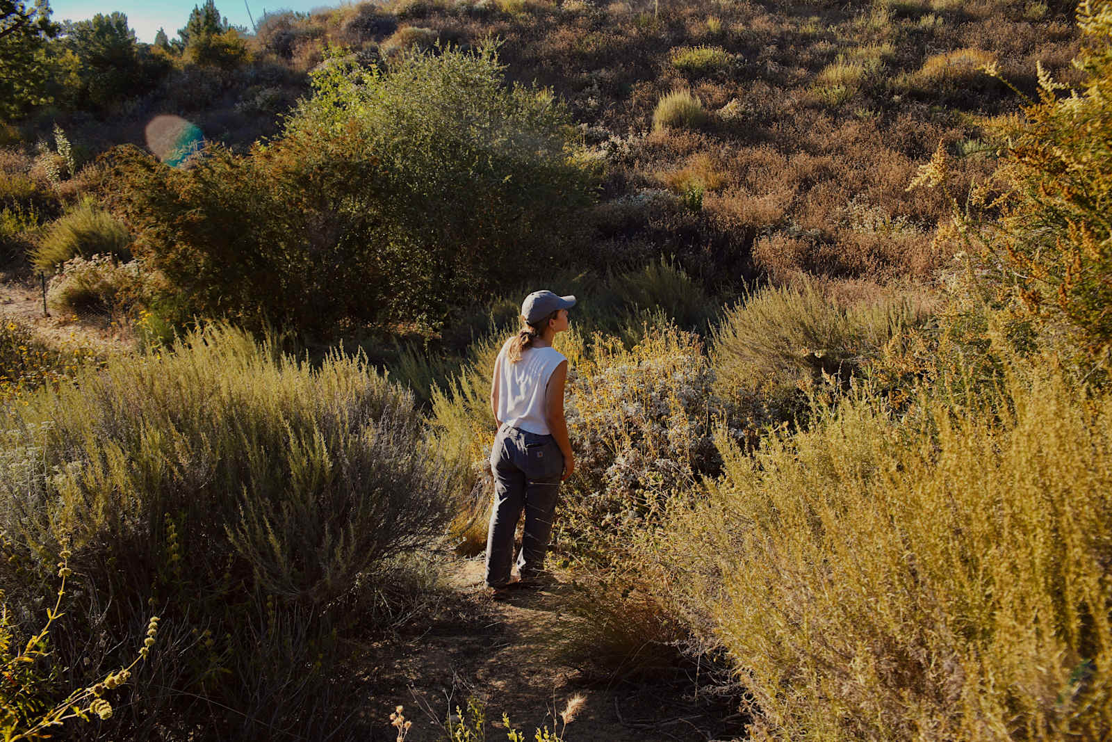HIPTRIP Basecamp + Wildlife Habitat - Santa Clarita, California - glamping.directory