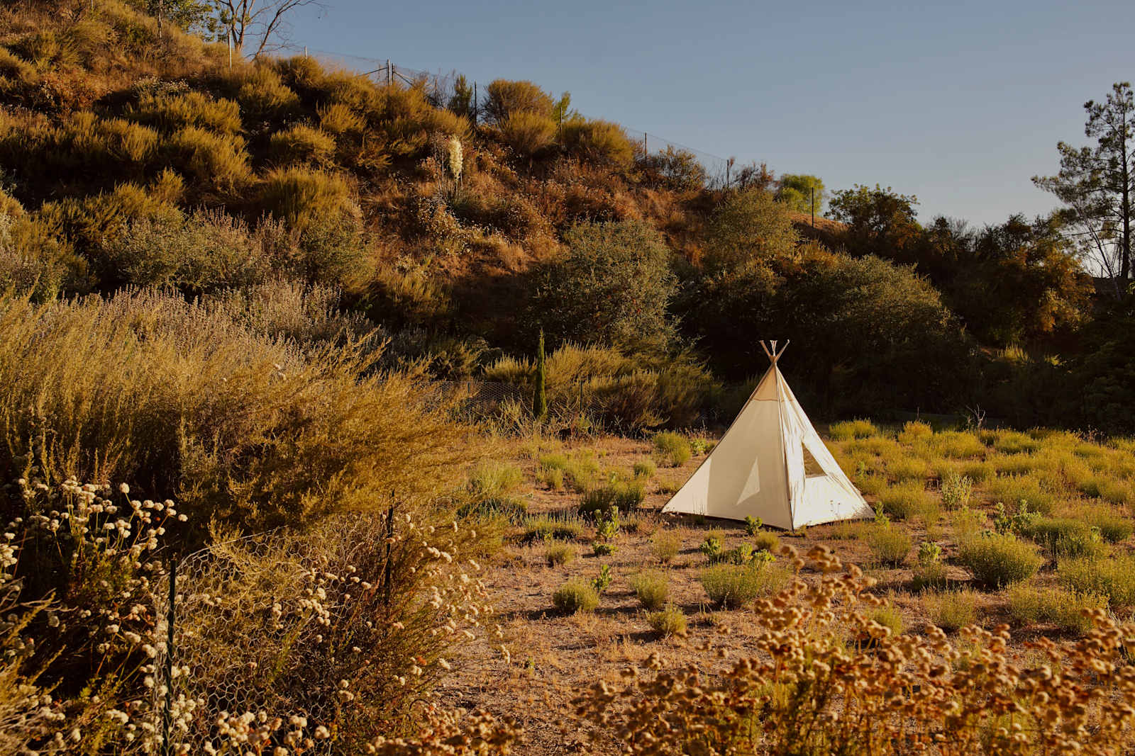 HIPTRIP Basecamp + Wildlife Habitat - Santa Clarita, California - glamping.directory