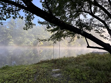 Pet-friendly Riverfront Cottage Amazing to Immerse into the Wildlife in Hiram, Maine - Hiram, Maine - glamping.directory