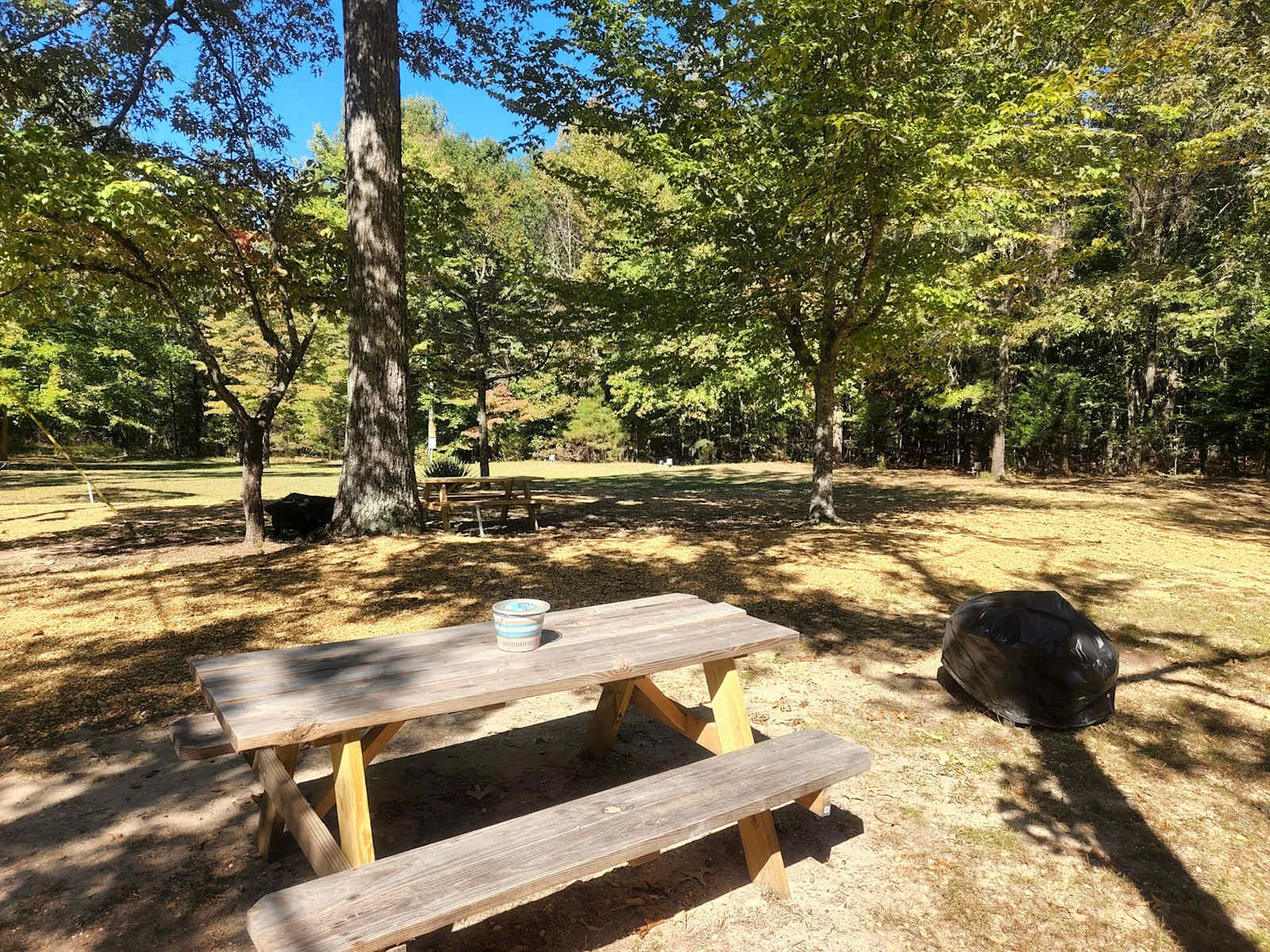 Turkey Hill RV Park & Campground - Hamilton, Alabama - glamping.directory
