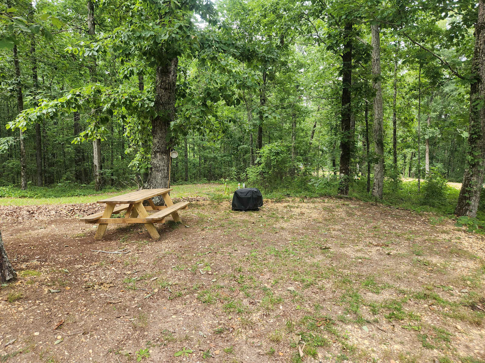 Turkey Hill RV Park & Campground - Hamilton, Alabama - glamping.directory