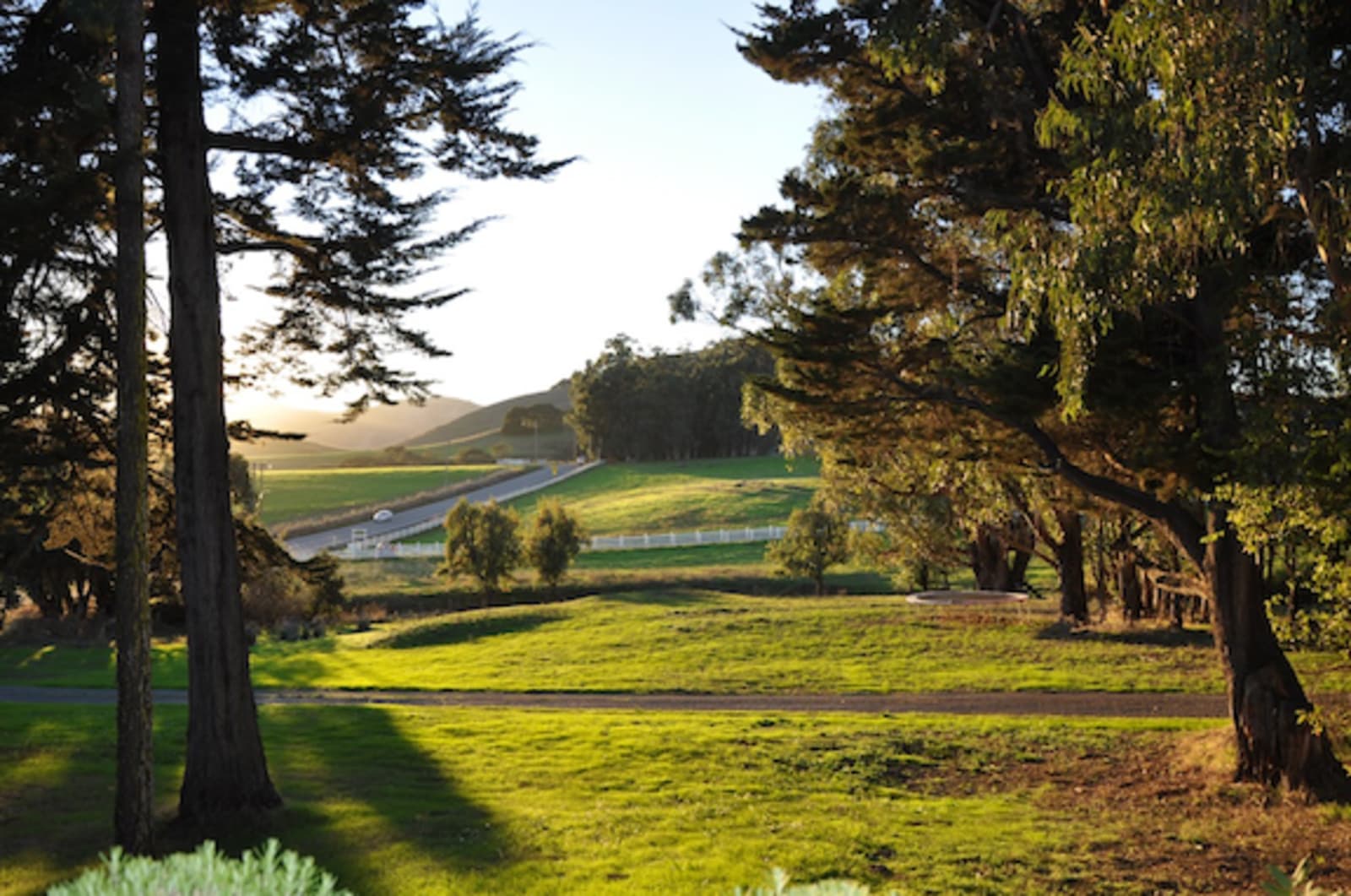 Swallowtail Historic Art Studio - glamping.directory