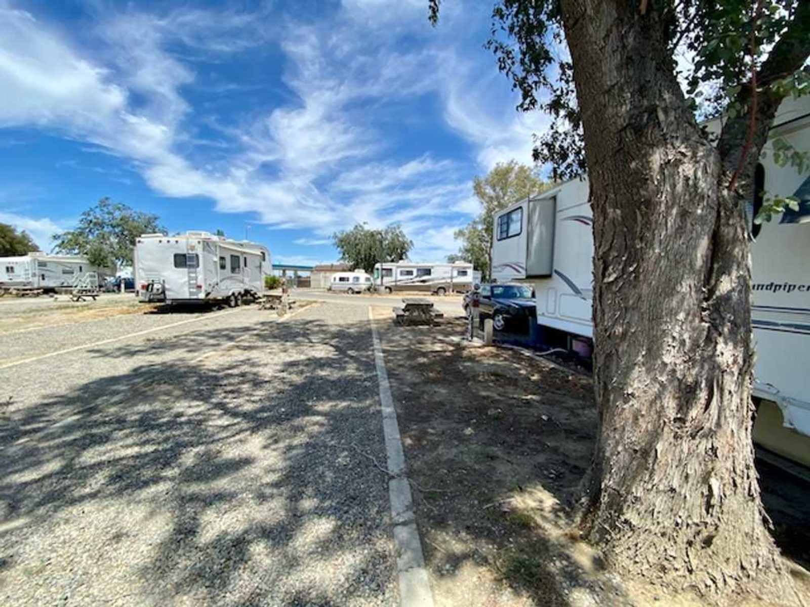 Almond Tree Oasis RV Park - Coalinga, California - glamping.directory