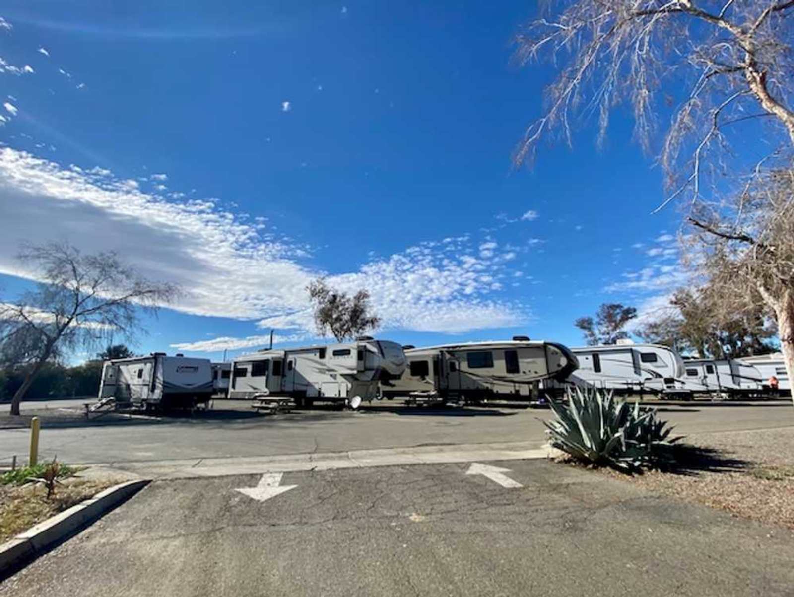 Almond Tree Oasis RV Park - Coalinga, California - glamping.directory