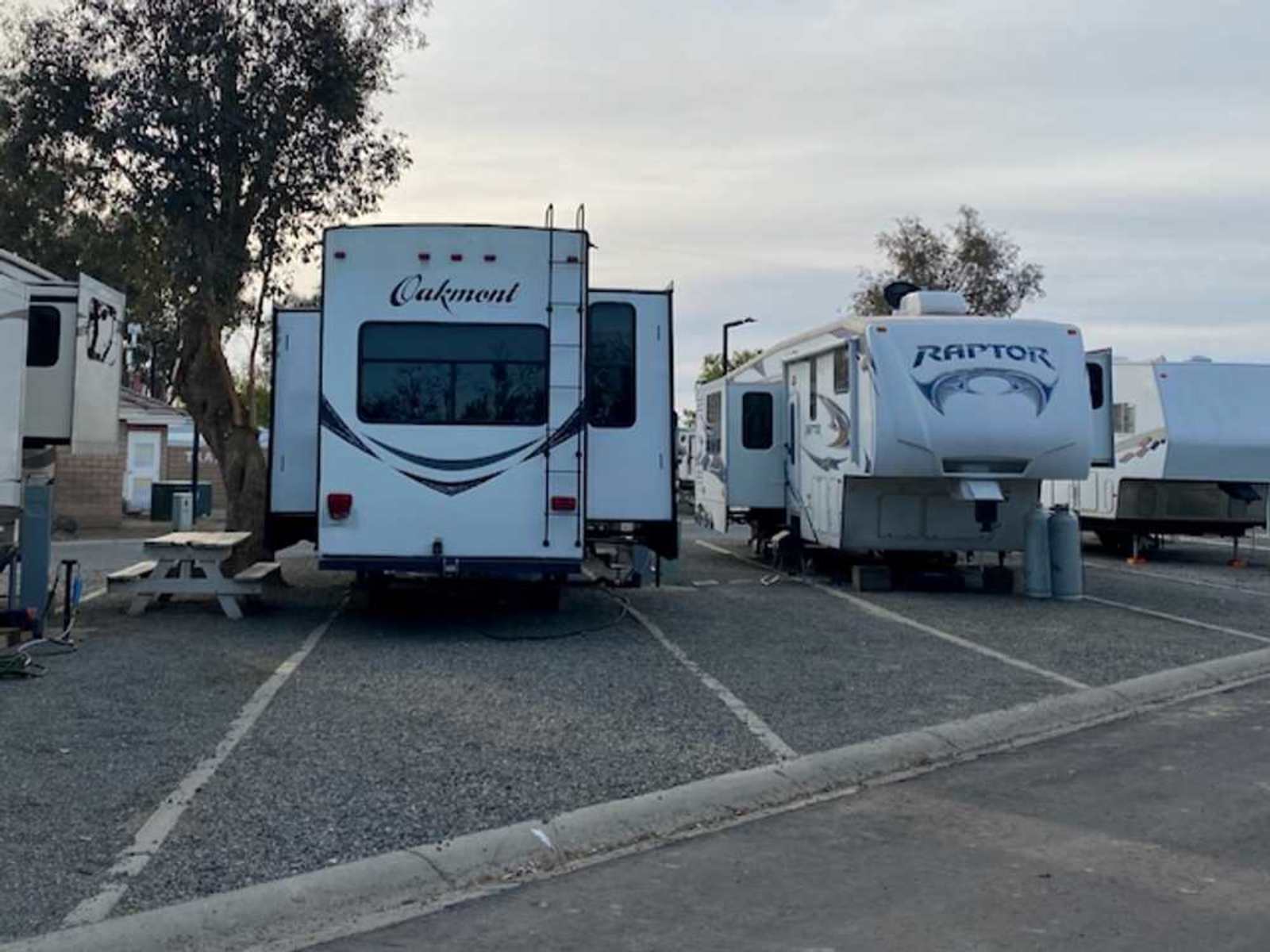 Almond Tree Oasis RV Park - Coalinga, California - glamping.directory