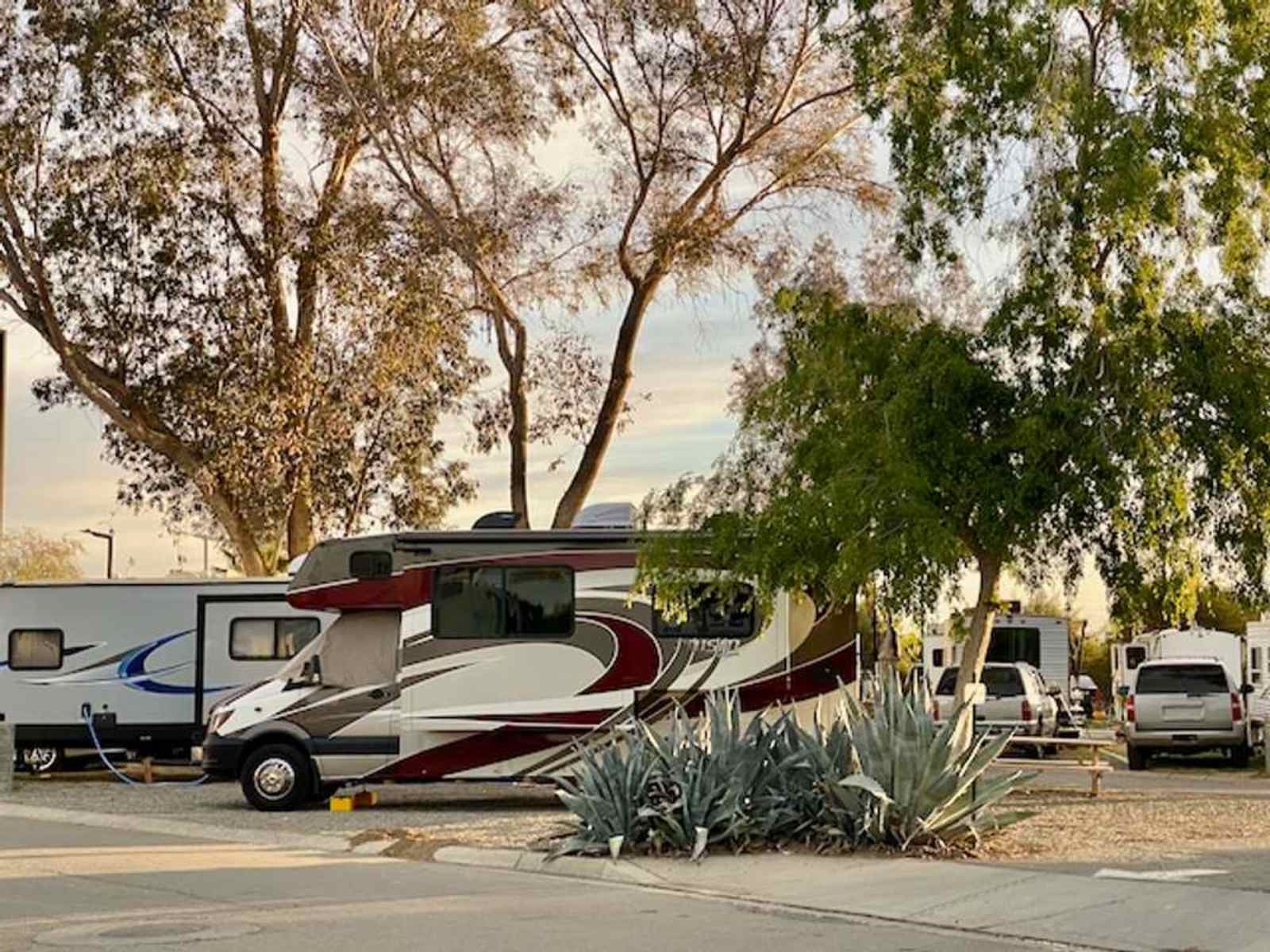 Almond Tree Oasis RV Park - Coalinga, California - glamping.directory