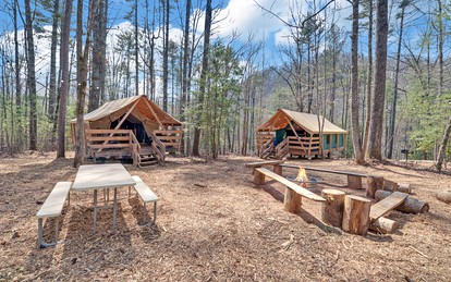 Safari Tent Bliss for You and Your Best Friend: Pet-Friendly Glamping in Suches, Georgia - Suches, Georgia - glamping.directory