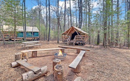 Safari Tent Bliss for You and Your Best Friend: Pet-Friendly Glamping in Suches, Georgia - Suches, Georgia - glamping.directory
