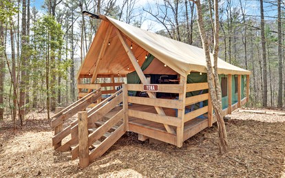 Safari Tent Bliss for You and Your Best Friend: Pet-Friendly Glamping in Suches, Georgia - Suches, Georgia - glamping.directory