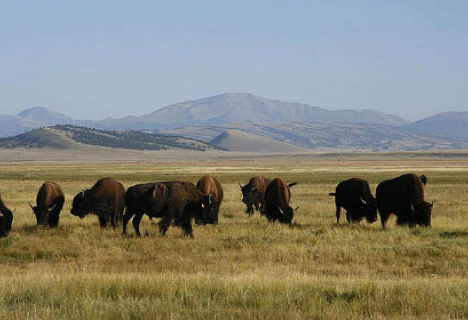 DeD Tick Ranch - glamping.directory