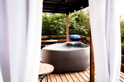Exceptional Cabin near Lake Granbury Perfect for Discovering Texas Wildlife - Bluff Dale, Texas - glamping.directory
