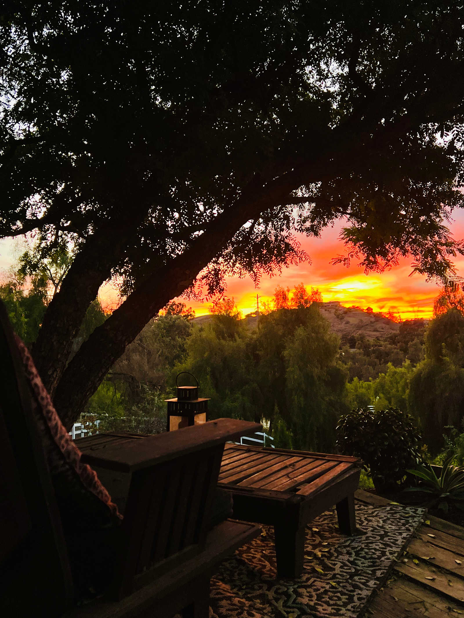 Tiny Home Cabin in the Hills - Sunland, California - glamping.directory