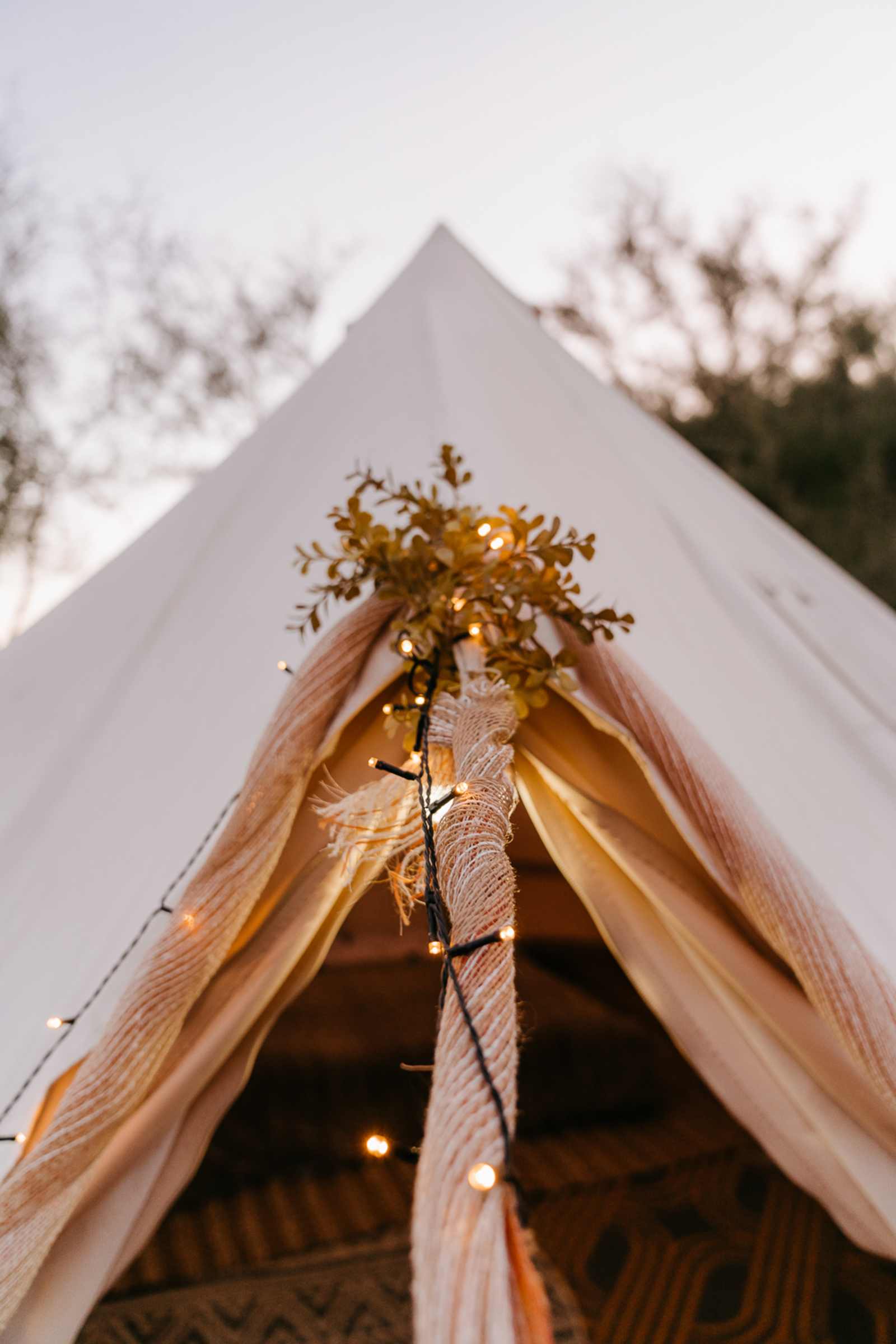 Cave Creek Quiet Homestead - Cave Creek, Arizona - glamping.directory