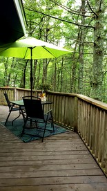 Rustic Tree Top Cabin in Sky Valley, Georgia - Sky Valley, Georgia - glamping.directory
