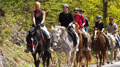 Sublime Vacation Rental for Unforgettable Family or Group Vacations in Dobson, North Carolina - Dobson, North Carolina - glamping.directory