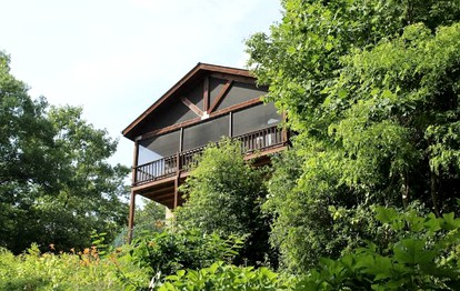 Cozy Log Cabin Getaway in the Woodlands near the Appalachian Trail in Georgia - Hiawassee, Georgia - glamping.directory