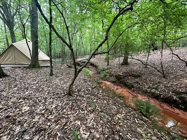 Romantic Bell Tent Retreat in Georgia’s Enchanted Forest near Lake Oconee - glamping.directory