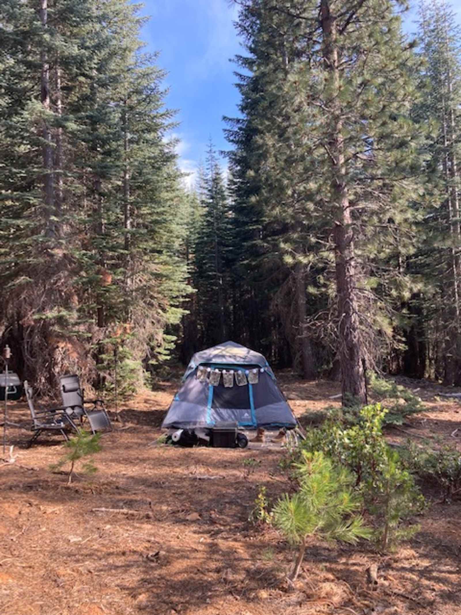 Sugarpine Slopes at Grouse Ridge - Nevada City, California - glamping.directory