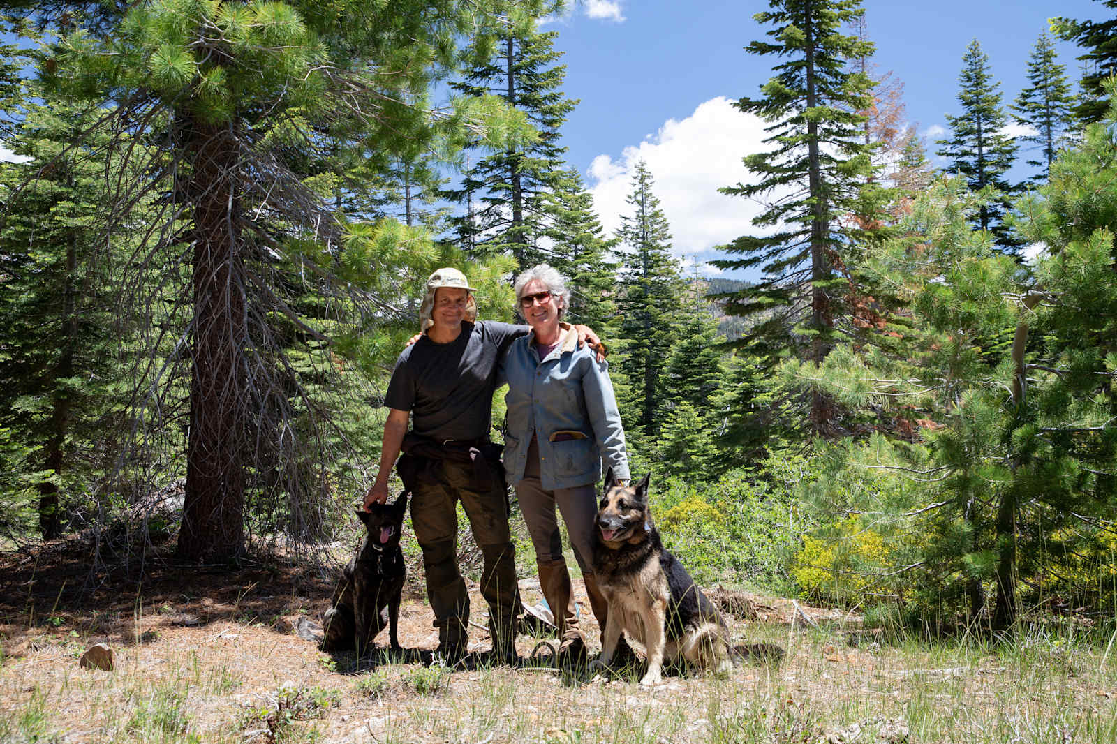 Sugarpine Slopes at Grouse Ridge - glamping.directory