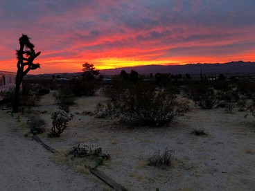 Retro Trailer Rental for Unique Getaway near Joshua Tree National Park, California - Joshua Tree, California - glamping.directory