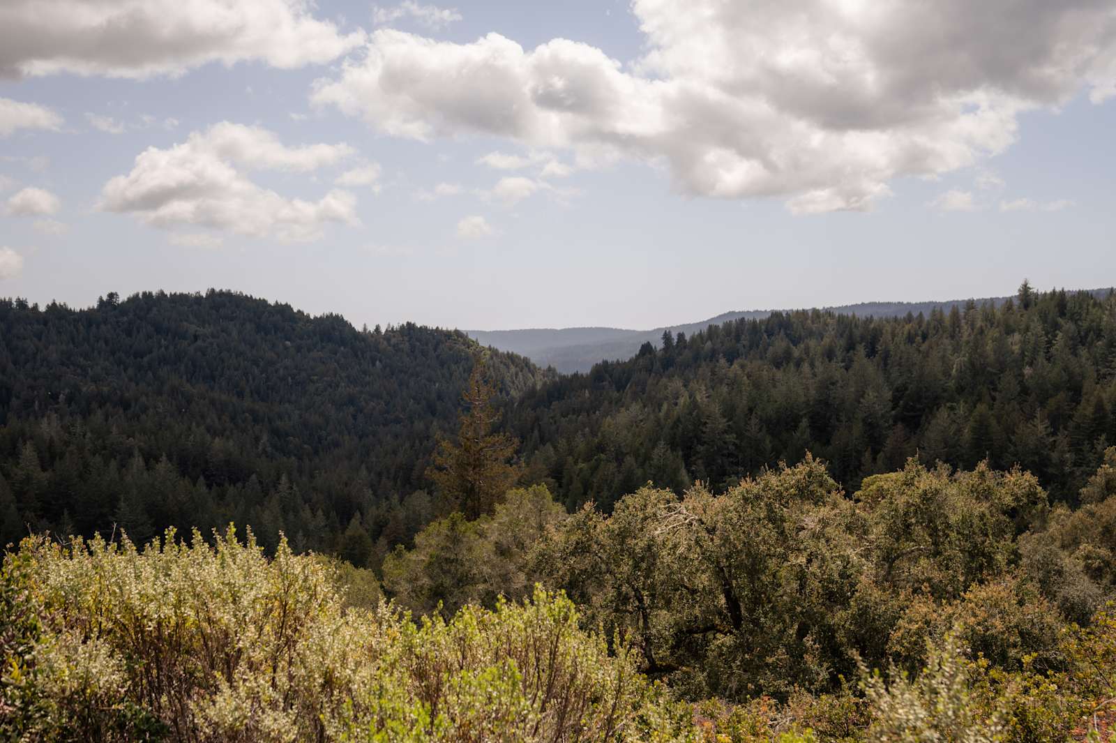 Sacred Earth Retreat (SER) - glamping.directory